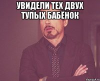 увидели тех двух тупых бабёнок 