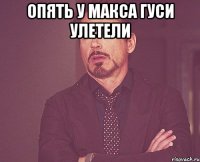 опять у макса гуси улетели 