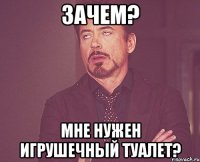 зачем? мне нужен игрушечный туалет?