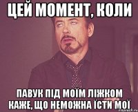 цей момент, коли павук під моїм ліжком каже, що неможна їсти мої