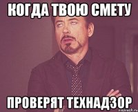 когда твою смету проверят технадзор