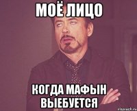 моё лицо когда мафын выебуется