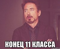  конец 11 класса