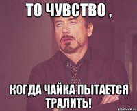 то чувство , когда чайка пытается тралить!