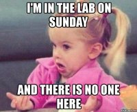 i'm in the lab on sunday and there is no one here
