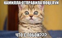 камилла отправила поцелуй что с тобой???