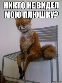 никто не видел мою плюшку? 