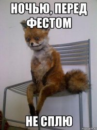 ночью, перед фестом не сплю