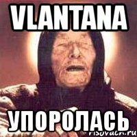 vlantana упоролась