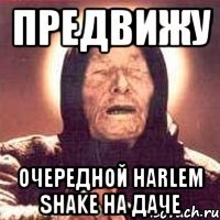 предвижу очередной harlem shake на даче