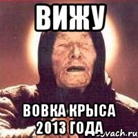 вижу вовка крыса 2013 года