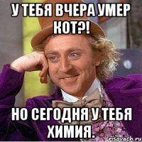 у тебя вчера умер кот?! но сегодня у тебя химия.