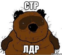 стр лдр