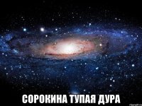  сорокина тупая дура