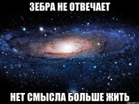 зебра не отвечает нет смысла больше жить