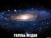  голубь мудак