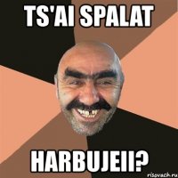 ts'ai spalat harbujeii?