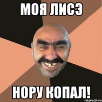 моя лисэ нору копал!