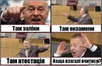 Там заліки Там екзамени Там атестація Нащо взагалі вчитися?