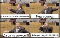 Смотрю оттуда Whoru появился Туда проехал Да он на фокусе!!! Ёбаный стыд!!!