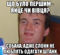 що було першим - яйце чи вівця? собака, адже слони не люблять одягати штани