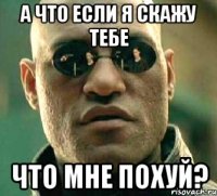 а что если я скажу тебе что мне похуй?