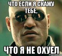 что если я скажу тебе, что я не охуел