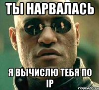 ты нарвалась я вычислю тебя по ip