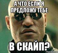 а что если я предложу тебе в скайп?