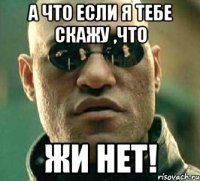 а что если я тебе скажу ,что жи нет!