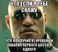 что если я тебе скажу что я получил 91 уровень и завалил первого босса в одного