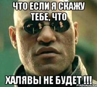 что если я скажу тебе, что халявы не будет !!!