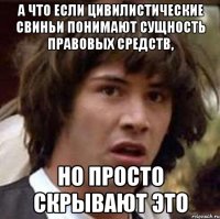 а что если цивилистические свиньи понимают сущность правовых средств, но просто скрывают это