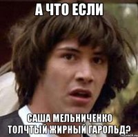 а что если саша мельниченко толчтый жирный гарольд?