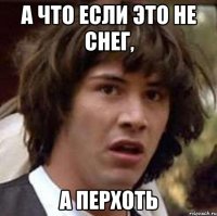 а что если это не снег, а перхоть