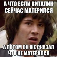 а что если виталик сейчас матерился а потом он же сказал что не матерился