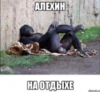 алехин на отдыхе