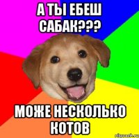 а ты ебеш сабак??? може несколько котов