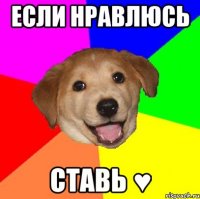 если нравлюсь ставь ♥