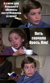 А у меня дом большой и абрикосы растут!Пойдешь за меня? Пить сначала брось, Вов! 