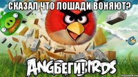 сказал что лошади воняют? беги!