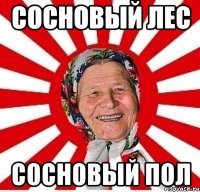 сосновый лес сосновый пол