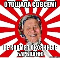 отощала совсем! не кормят окоянные барышню