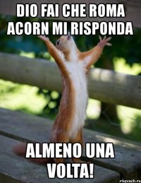 dio fai che roma acorn mi risponda almeno una volta!