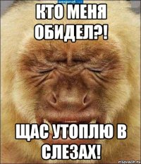 кто меня обидел?! щас утоплю в слезах!