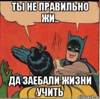 ты не правильно жи.. да заебали жизни учить