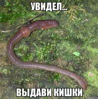 увидел... выдави кишки