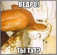 ведро! ты тут?