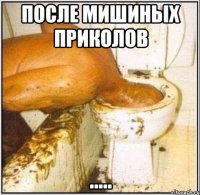 после мишиных приколов .....