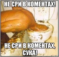 не сри в коментах! не сри в коментах, сука!